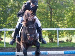 IMG_7039_web